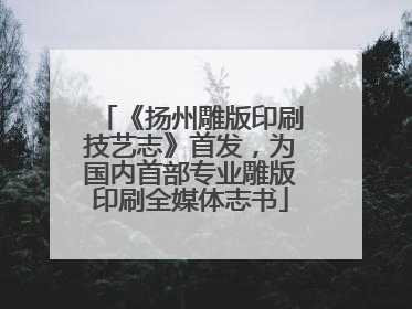 《扬州雕版印刷技艺志》首发，为国内首部专业雕版印刷全媒体志书
