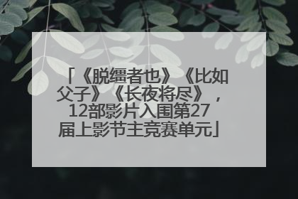 《脱缰者也》《比如父子》《长夜将尽》，12部影片入围第27届上影节主竞赛单元
