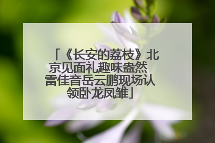 《长安的荔枝》北京见面礼趣味盎然 雷佳音岳云鹏现场认领卧龙凤雏