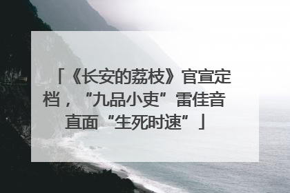 《长安的荔枝》官宣定档，“九品小吏”雷佳音直面“生死时速”