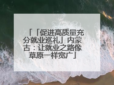 「促进高质量充分就业巡礼」内蒙古：让就业之路像草原一样宽广