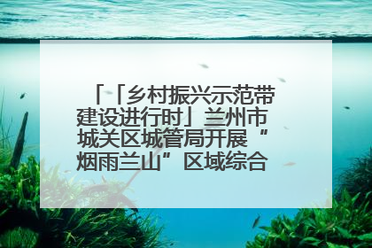 「乡村振兴示范带建设进行时」兰州市城关区城管局开展“烟雨兰山”区域综合整治专项行动