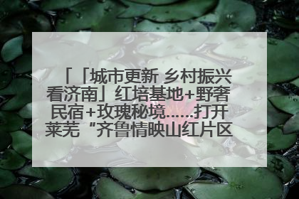 「城市更新 乡村振兴看济南」红培基地+野奢民宿+玫瑰秘境……打开莱芜“齐鲁情映山红片区”的破圈秘籍