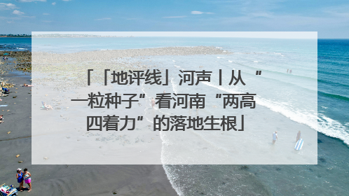 「地评线」河声丨从“一粒种子”看河南“两高四着力”的落地生根