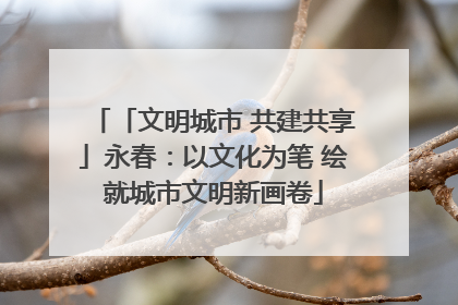 「文明城市 共建共享」永春：以文化为笔 绘就城市文明新画卷