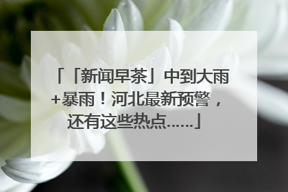 「新闻早茶」中到大雨+暴雨！河北最新预警，还有这些热点……