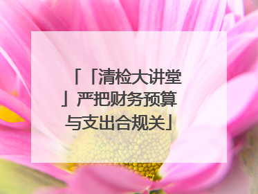 「清检大讲堂」严把财务预算与支出合规关