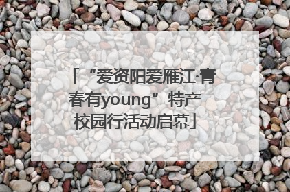 “爱资阳爱雁江·青春有young”特产校园行活动启幕
