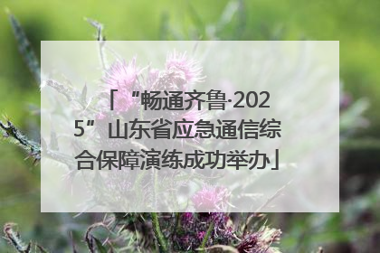 “畅通齐鲁·2025”山东省应急通信综合保障演练成功举办