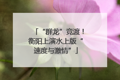 “群龙”竞渡！衡阳上演水上版“速度与激情”