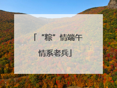 “粽”情端午 情系老兵