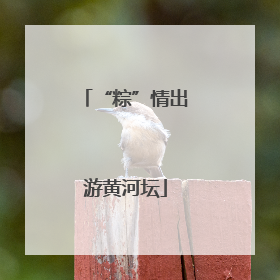 “粽”情出游黄河坛
