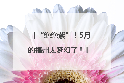 “绝绝紫”！5月的福州太梦幻了！