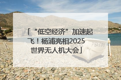 “低空经济”加速起飞！杨浦亮相2025世界无人机大会