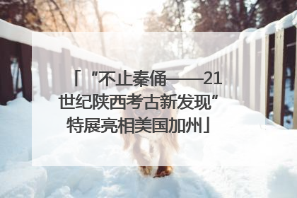 “不止秦俑——21世纪陕西考古新发现”特展亮相美国加州