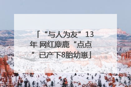 “与人为友”13年 网红麋鹿“点点”已产下8胎幼崽