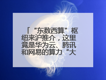 “东数西算”枢纽来沪推介，这里竟是华为云、腾讯和网易的算力“大本营”