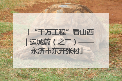 “千万工程”看山西｜运城篇（之二）——永济市东开张村