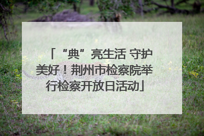 “典”亮生活 守护美好！荆州市检察院举行检察开放日活动