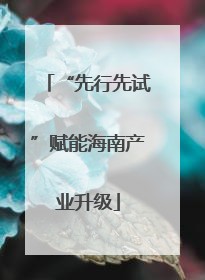 “先行先试”赋能海南产业升级