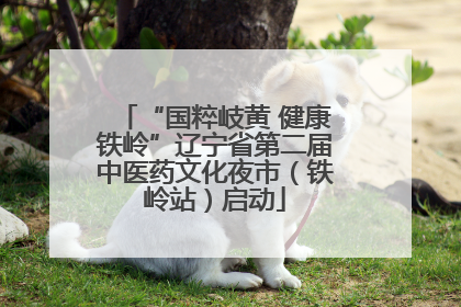 “国粹岐黄 健康铁岭”辽宁省第二届中医药文化夜市（铁岭站）启动