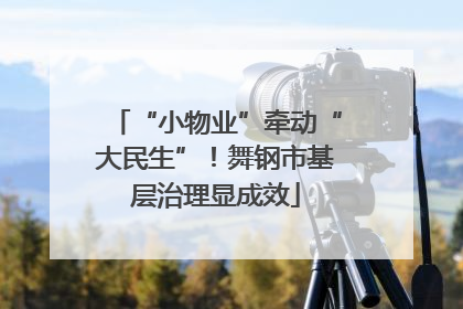 “小物业”牵动“大民生”！舞钢市基层治理显成效