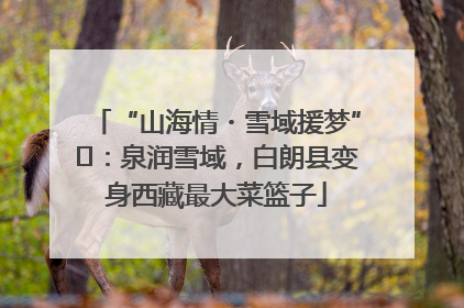 “山海情・雪域援梦”⑪：泉润雪域，白朗县变身西藏最大菜篮子