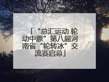 “总汇运动 轮动中原”第八届河南省“轮转冰”交流赛启幕