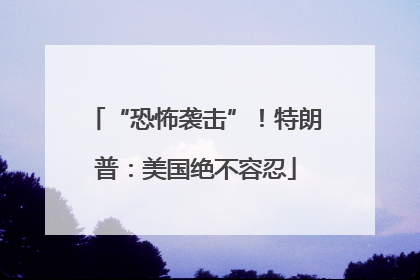 “恐怖袭击”！特朗普：美国绝不容忍