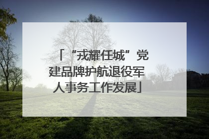 “戎耀任城”党建品牌护航退役军人事务工作发展