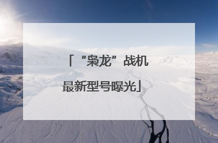 “枭龙”战机最新型号曝光