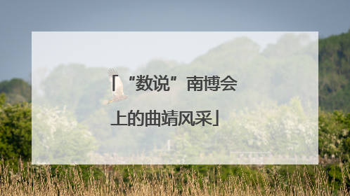 “数说”南博会上的曲靖风采