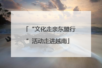 “文化走亲东盟行”活动走进越南