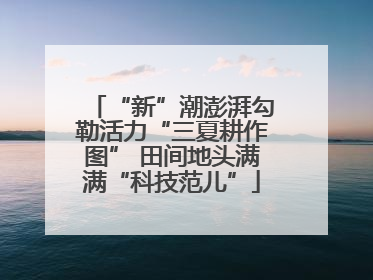 “新”潮澎湃勾勒活力“三夏耕作图” 田间地头满满“科技范儿”