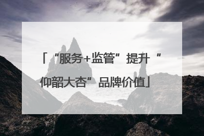 “服务+监管”提升“仰韶大杏”品牌价值