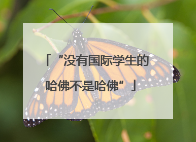 “没有国际学生的哈佛不是哈佛”