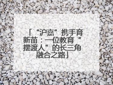 “沪嘉”携手育新苗：一位教育“摆渡人”的长三角融合之路