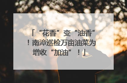 “花香”变“油香”！南漳巡检万亩油菜为增收“加油”！