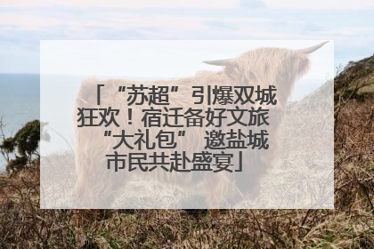 “苏超”引爆双城狂欢！宿迁备好文旅“大礼包” 邀盐城市民共赴盛宴