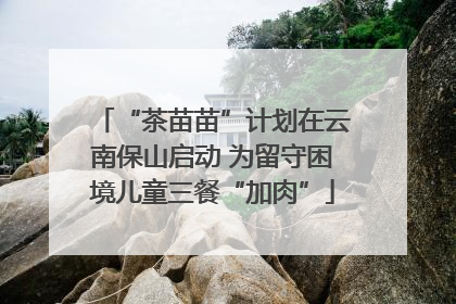 “茶苗苗”计划在云南保山启动 为留守困境儿童三餐“加肉”