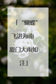 “蝴蝶”飞进海南 厦门大雨如注