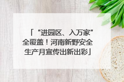 “进园区、入万家”全覆盖！河南新野安全生产月宣传出新出彩