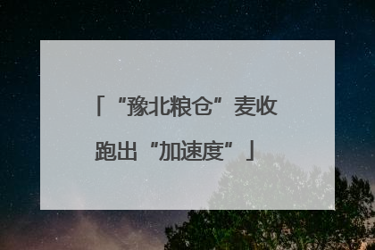 “豫北粮仓”麦收跑出“加速度”