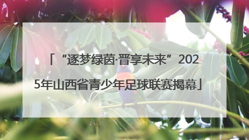 “逐梦绿茵·晋享未来”2025年山西省青少年足球联赛揭幕