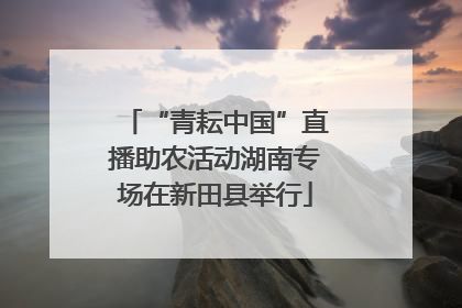 “青耘中国”直播助农活动湖南专场在新田县举行