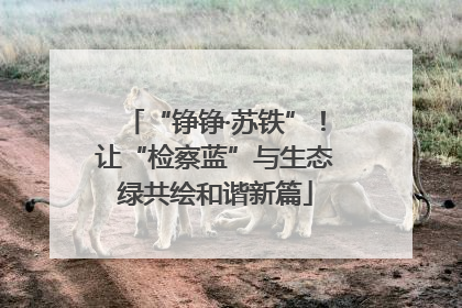 “铮铮·苏铁”！让“检察蓝”与生态绿共绘和谐新篇