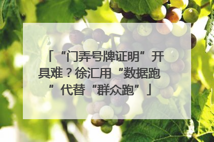 “门弄号牌证明”开具难？徐汇用“数据跑”代替“群众跑”