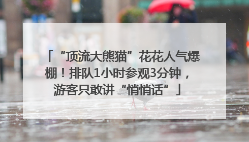 “顶流大熊猫”花花人气爆棚！排队1小时参观3分钟，游客只敢讲“悄悄话”