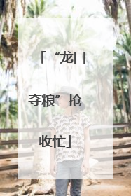 “龙口夺粮”抢收忙