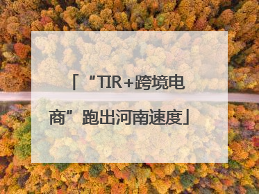 “TIR+跨境电商”跑出河南速度